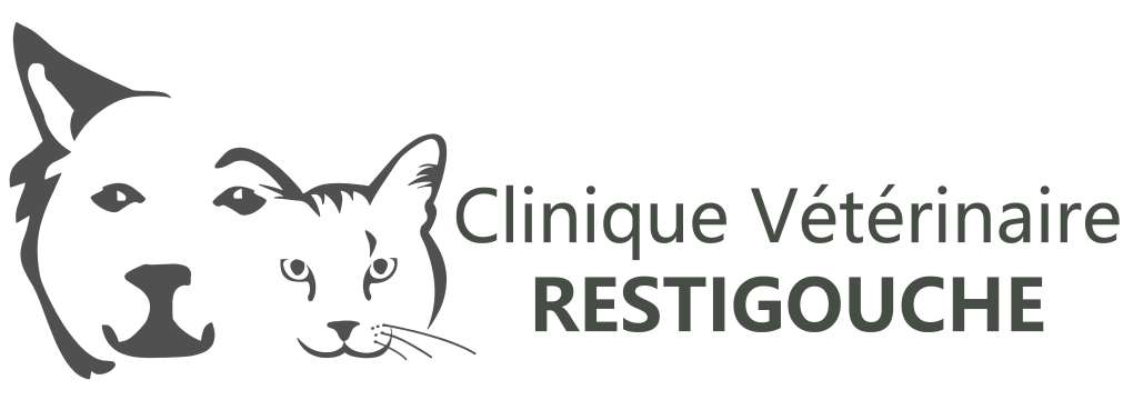 https://www.facebook.com/people/Clinique-V%C3%A9t%C3%A9rinaire-Restigouche/61561061138159/?mibextid=LQQJ4d